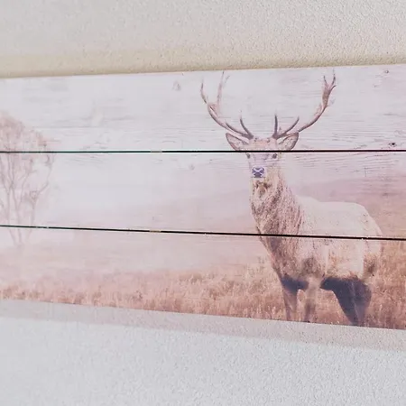 Privat bolig U Tatarow Suche