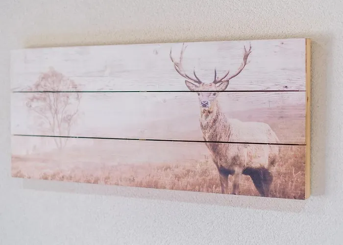 Kwatera prywatna U Tatarów Suche