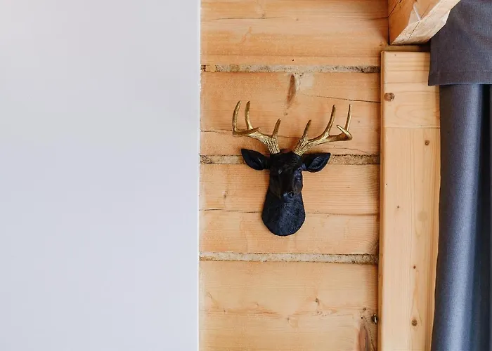 בית אירוח U Tatarow סוצ'ה